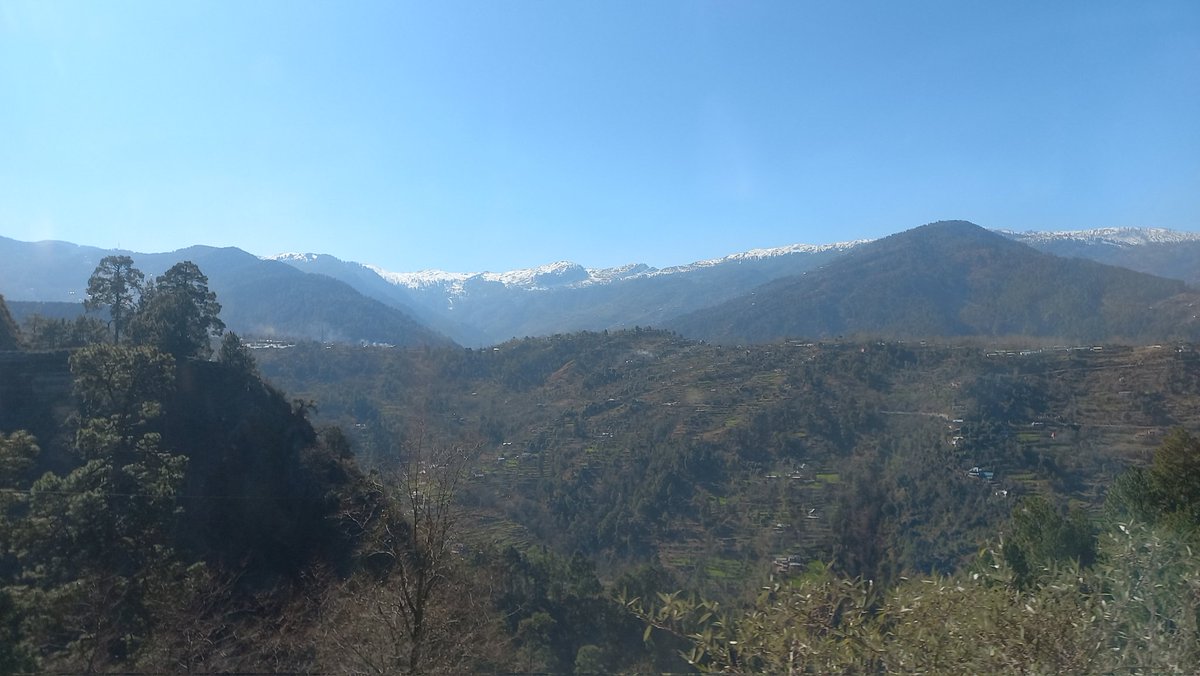 Sohan Singh Thakur tweet media