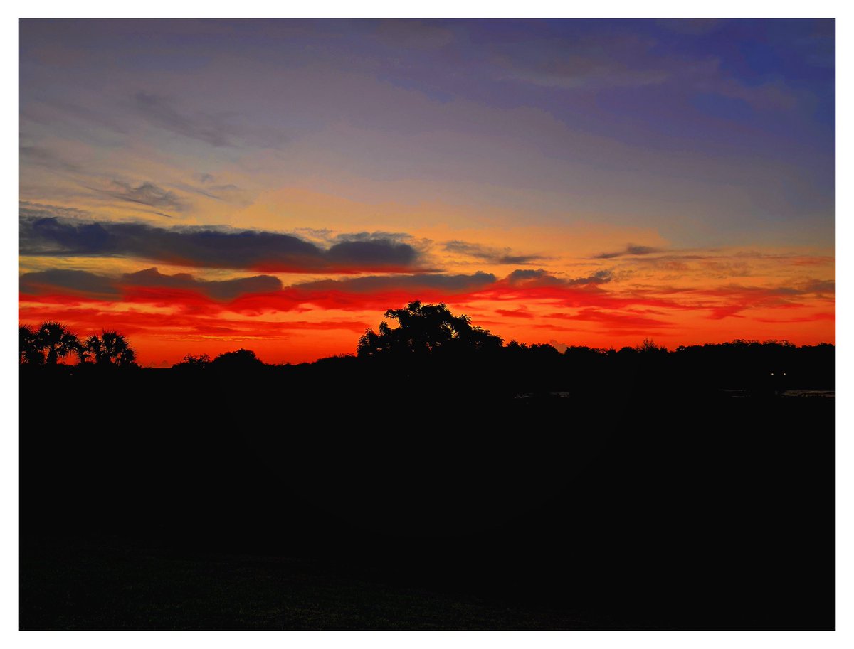 Antonio Castillo tweet media