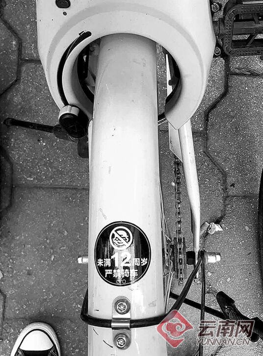 Viktoria.novosiolova tweet media