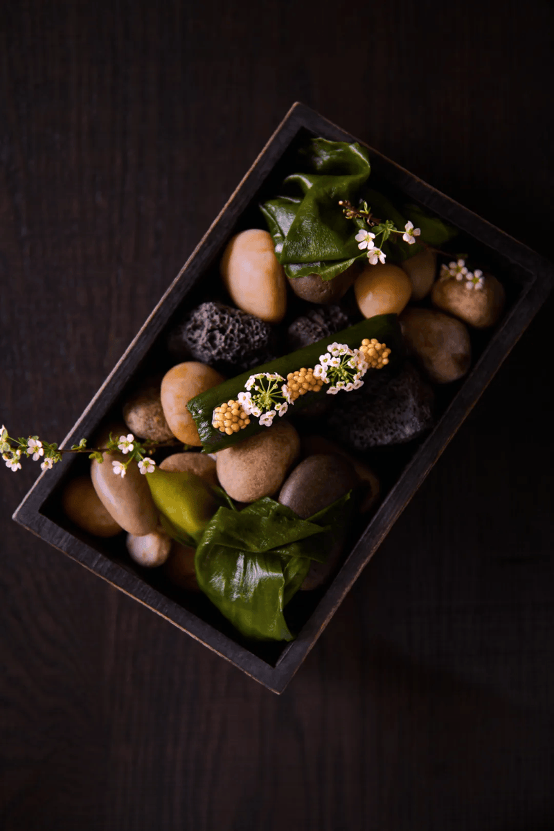 Lauren Tafoya tweet media