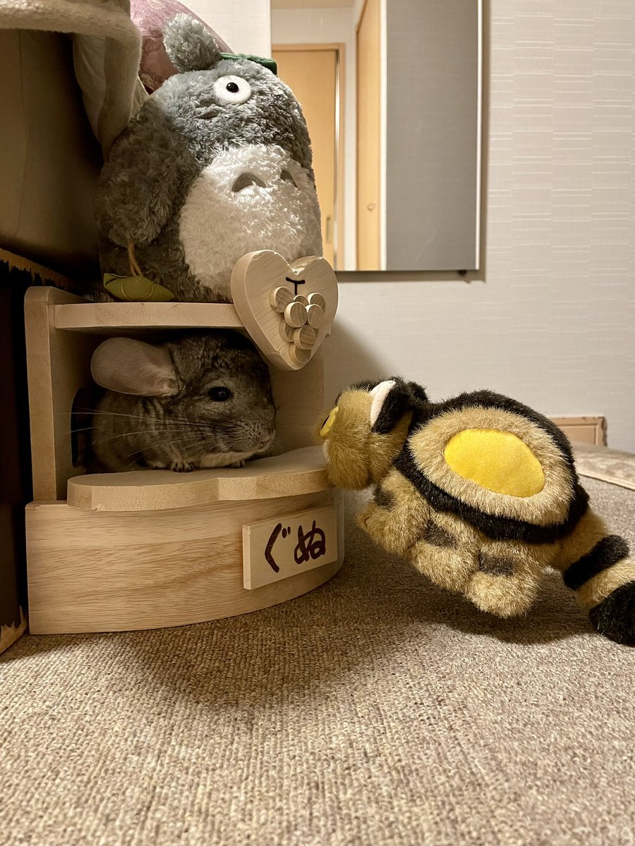 GunuchuKutachu's tweet photo. 「ちらっしゃいまちぇ🐭
...キャラメル？ありまちぇん

ここには幸せしか置いてまちぇん🐭
目には見えまちぇん。
でもここにちゃんとありまちゅ🐭」 https://t.co/iEAssbsXe8