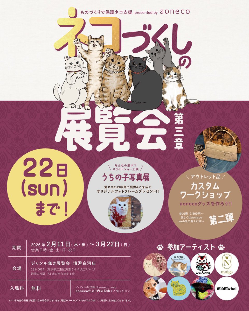 アオネコ / aoneco 保護猫支援 tweet media
