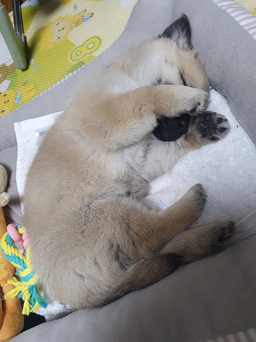 푸른 바다 tweet media