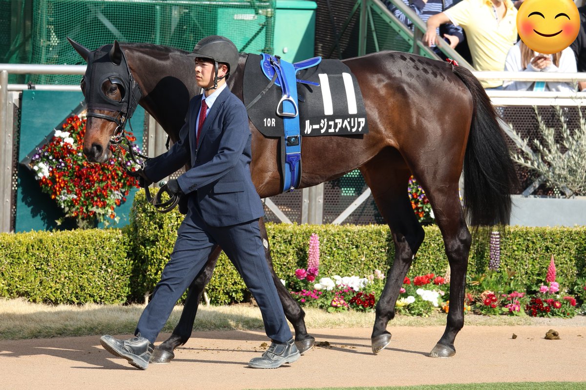 ゆな🐧 tweet media