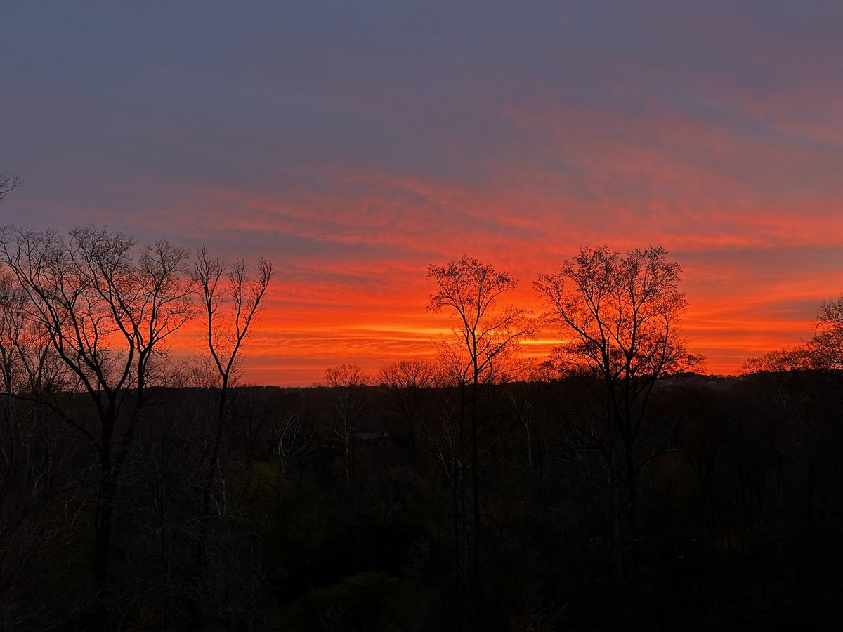 Coach_Campy tweet media