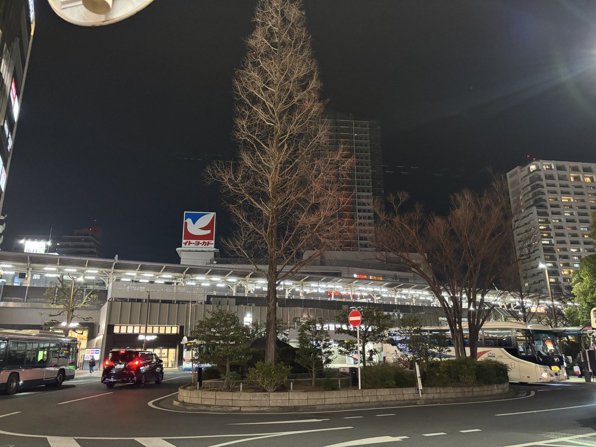 NARUKE SHINGO / なるけしんご tweet media