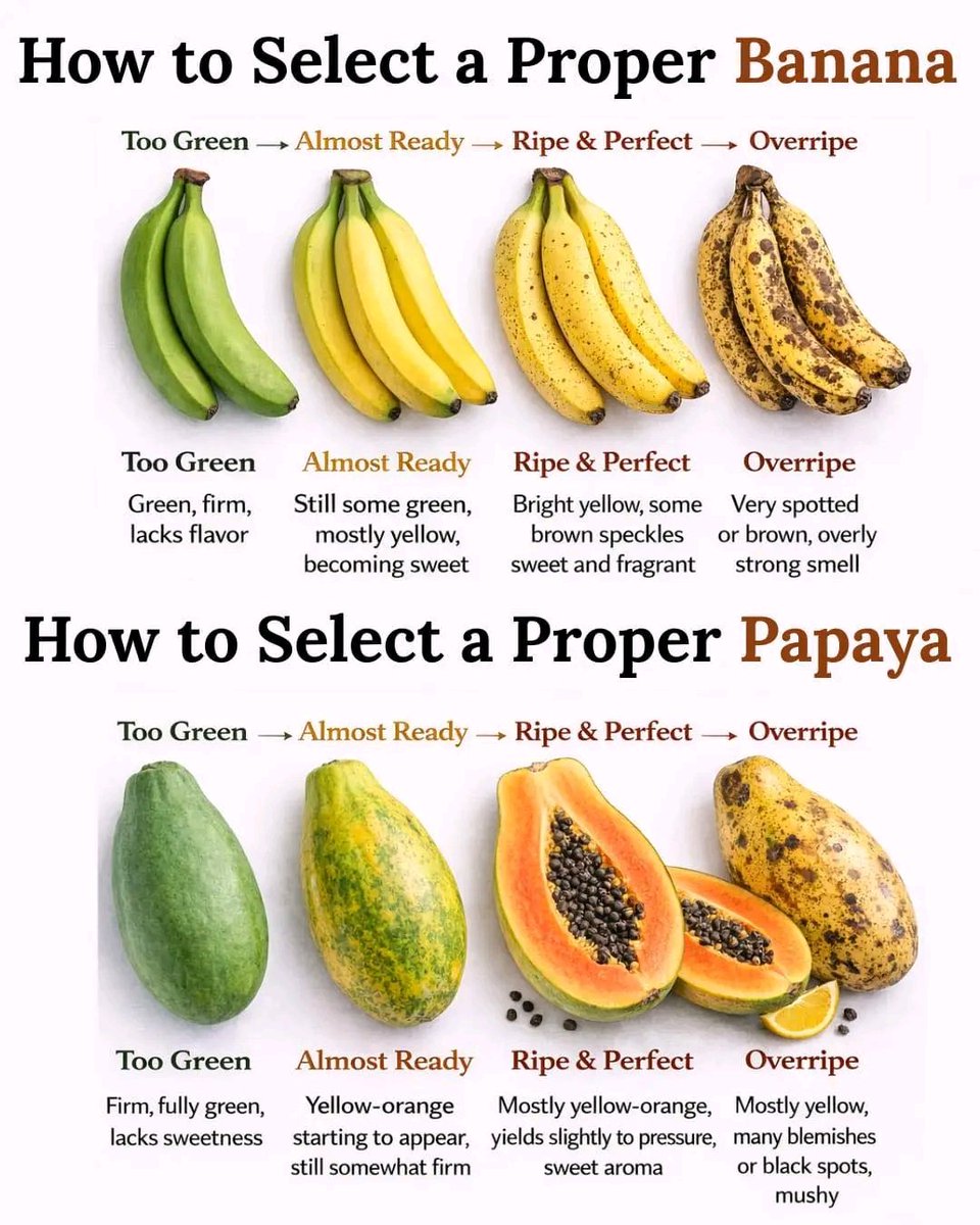 KNOWLEDGE POINT tweet media