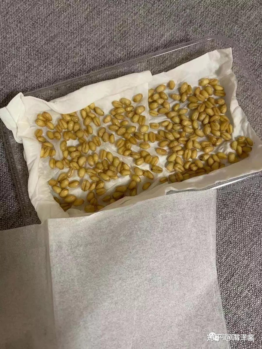 Patrick Wagoner tweet media