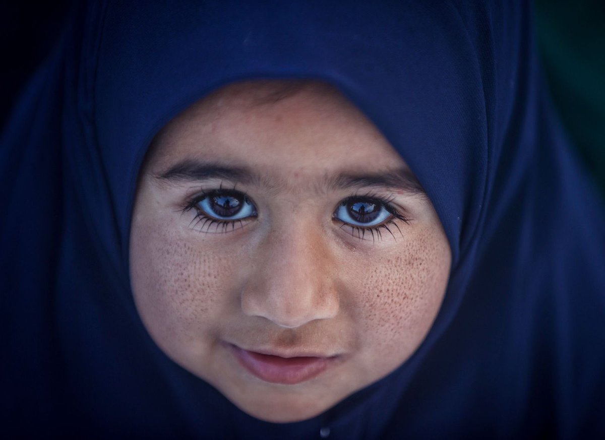 Ali Jadallah 𓂆 tweet media