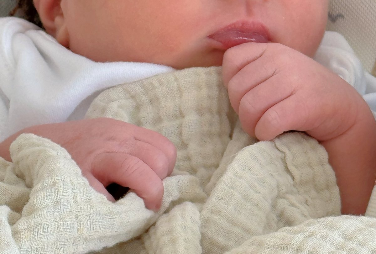 Jocaccia tweet media