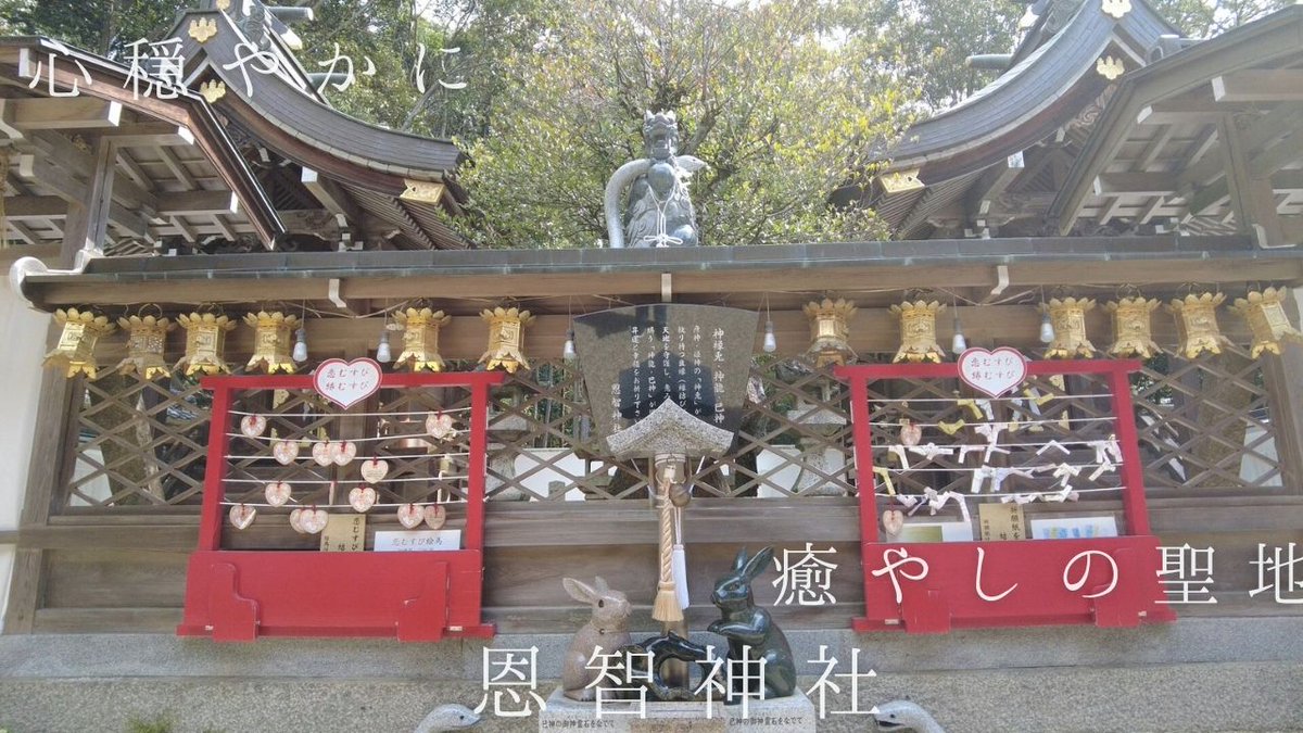qcl3s's tweet photo. 大阪の隠れパワースポット、恩智神社。
こないだ訪れた恩智神社の参拝の様子を動画にしました。
兎と龍が共演する、不思議な空間が広がっています。
本編はこちら👇
https://t.co/or2AdBvBPc
#恩智神社 #パワースポット #龍神 #うさぎ #神社巡り https://t.co/UpID0SIj2G