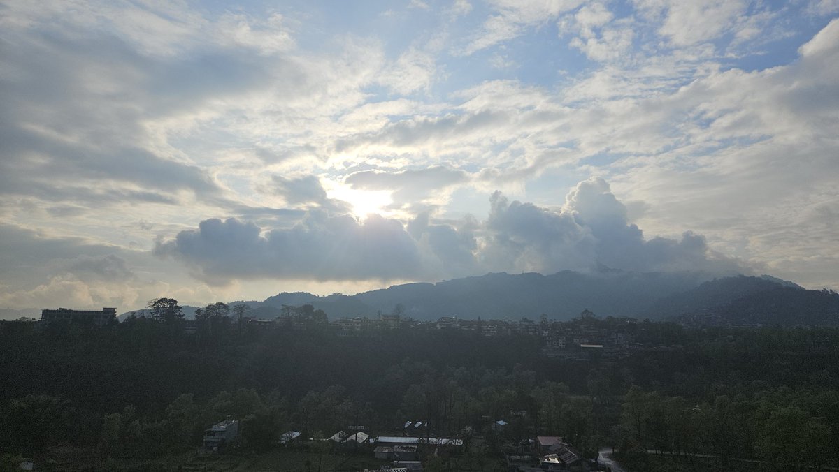 rupa joshi tweet media