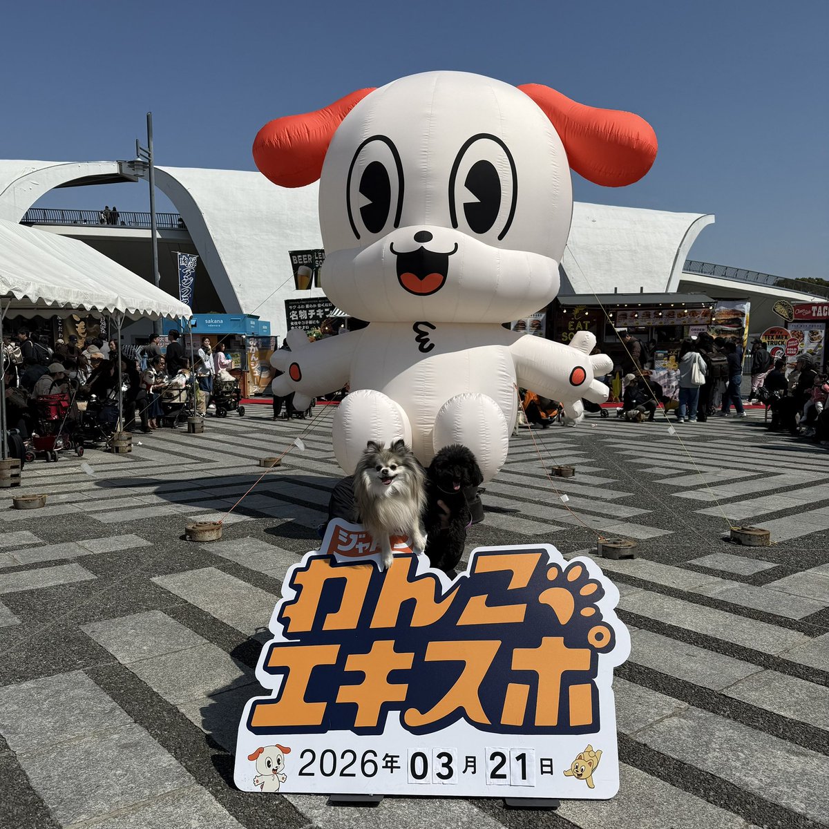 chima_tsuki's tweet photo. 今日は快晴！わんこエキスポ行ってきたよ~
#わんこEXPO  #犬との暮らし https://t.co/4UEumYYjZZ