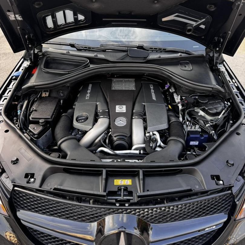 Jimi Animashaun tweet media