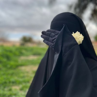 محمد العالمي💙💛 tweet media