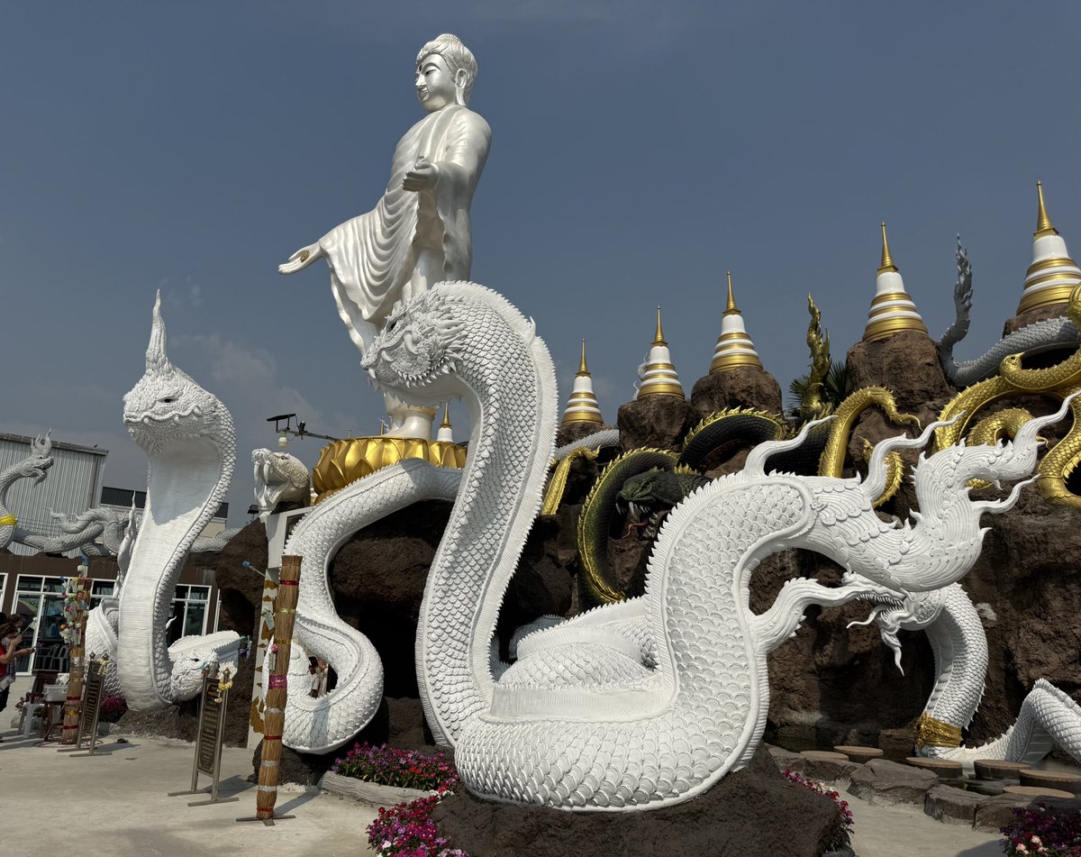 Ali 🍀🦋 tweet media