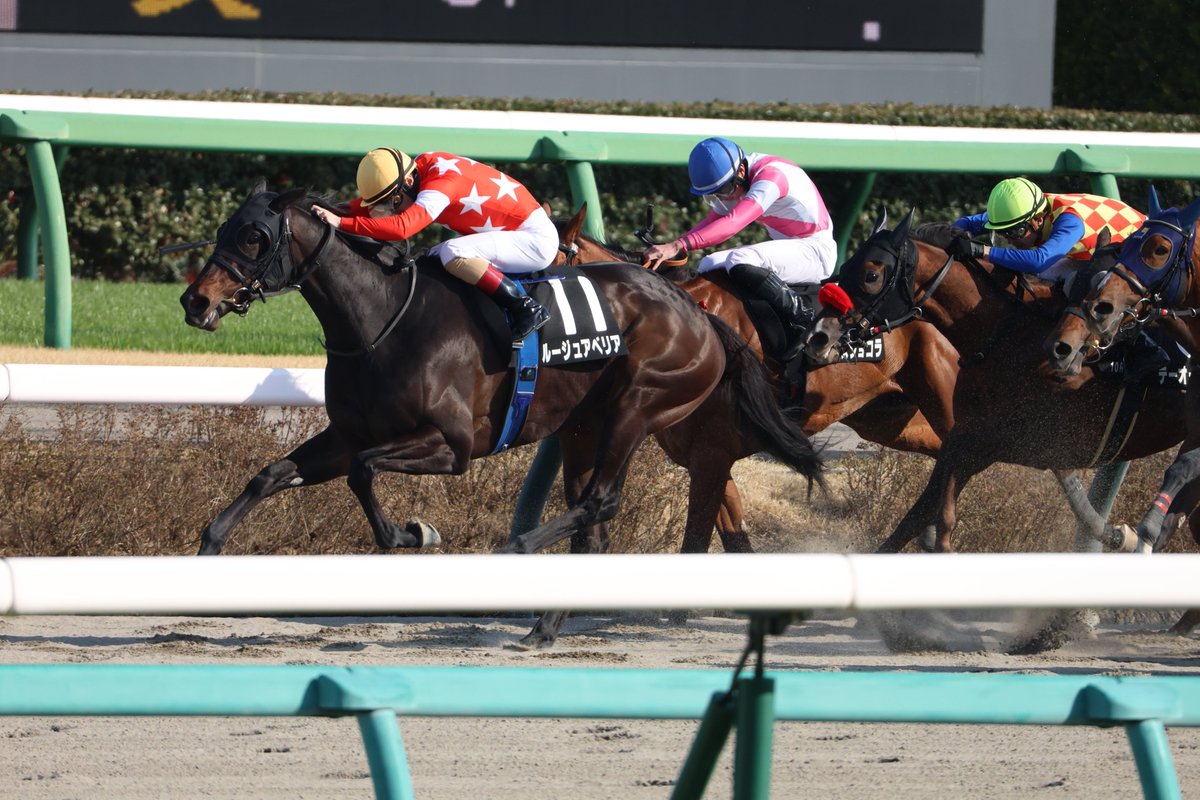 ゆな🐧 tweet media