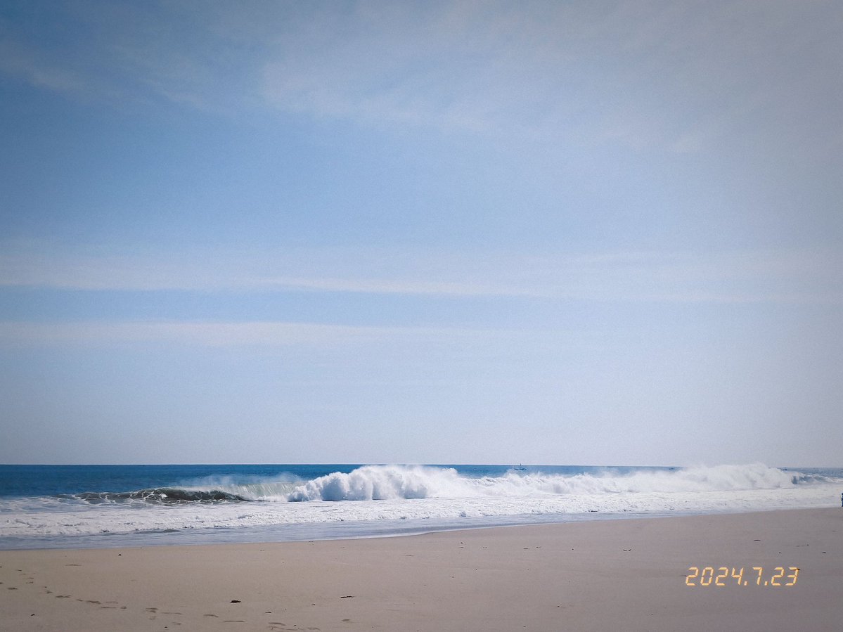 .☘︎ ˖꙳ tweet media