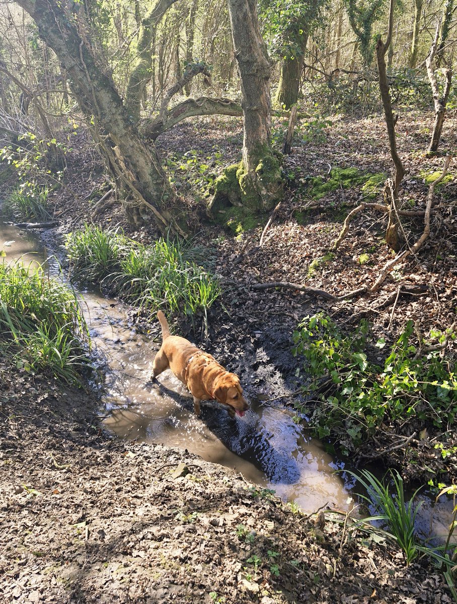 Nigel Barrett tweet media