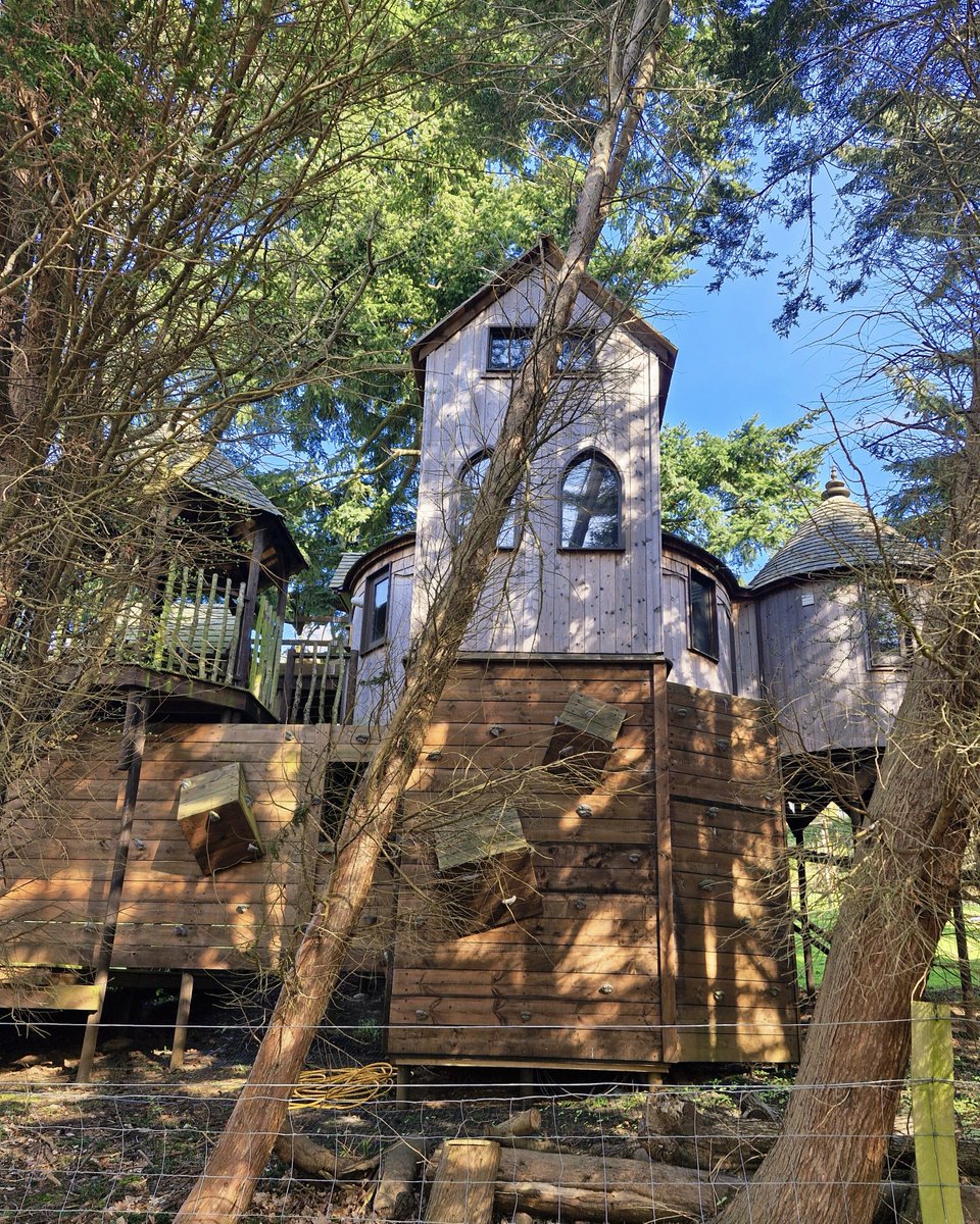 Nigel Barrett tweet media