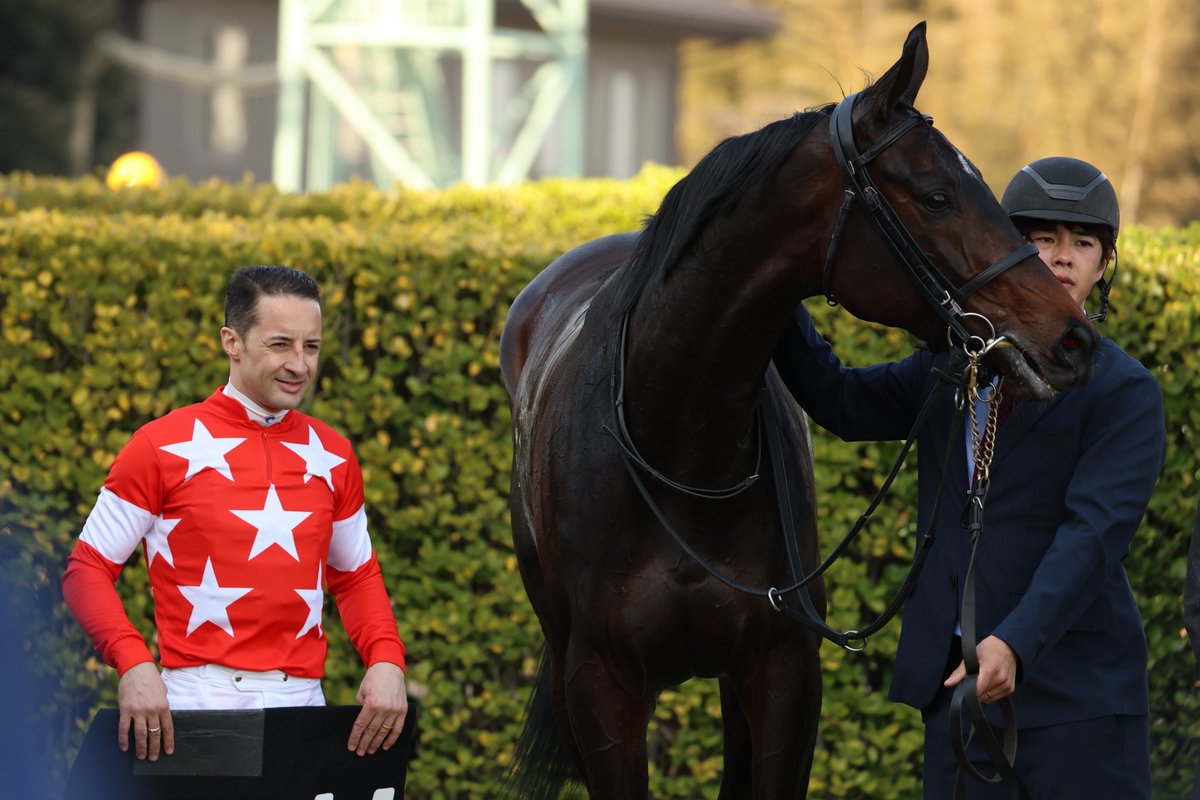 ゆな🐧 tweet media