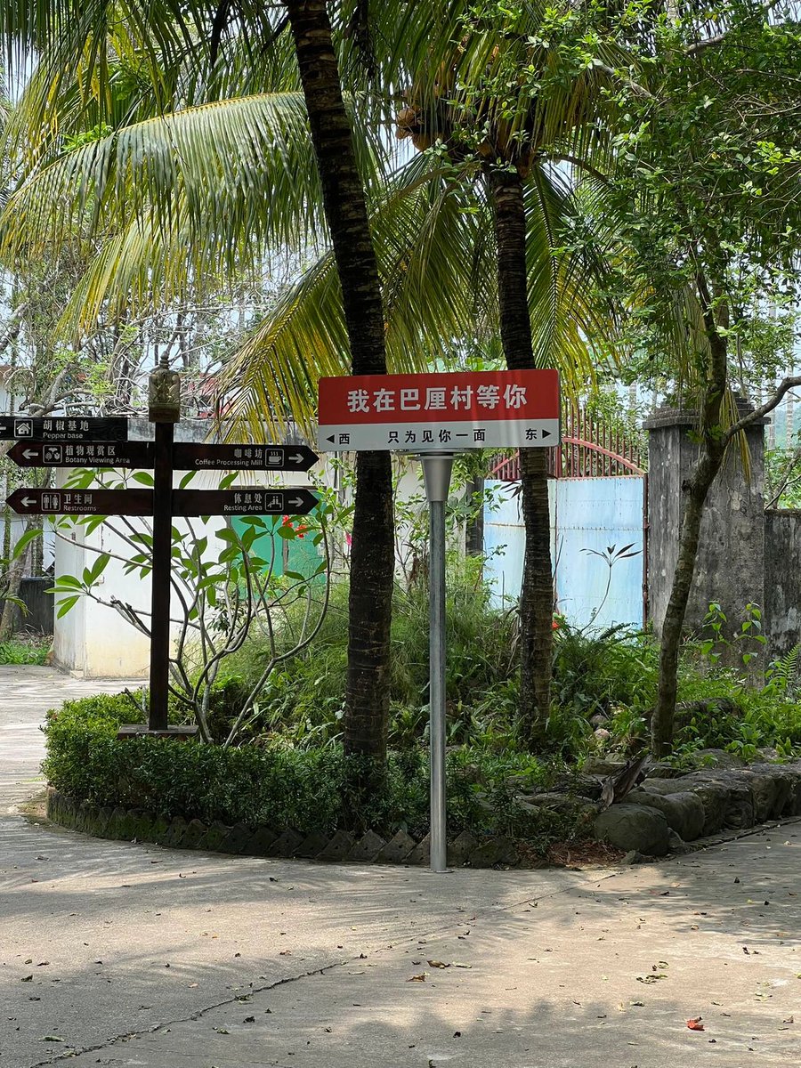 oscar casco tweet media