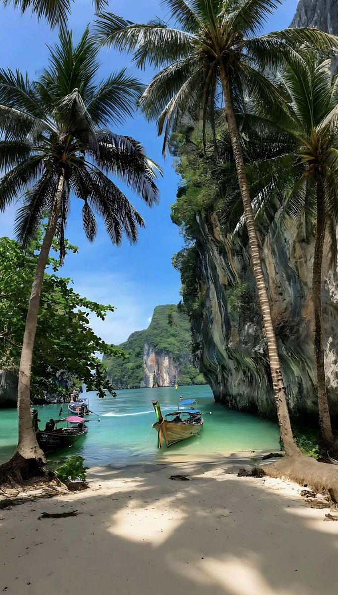 Noorie lova tweet media