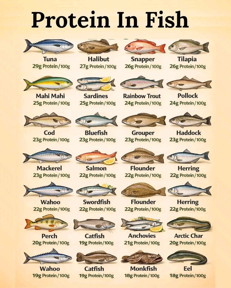 KNOWLEDGE POINT tweet media