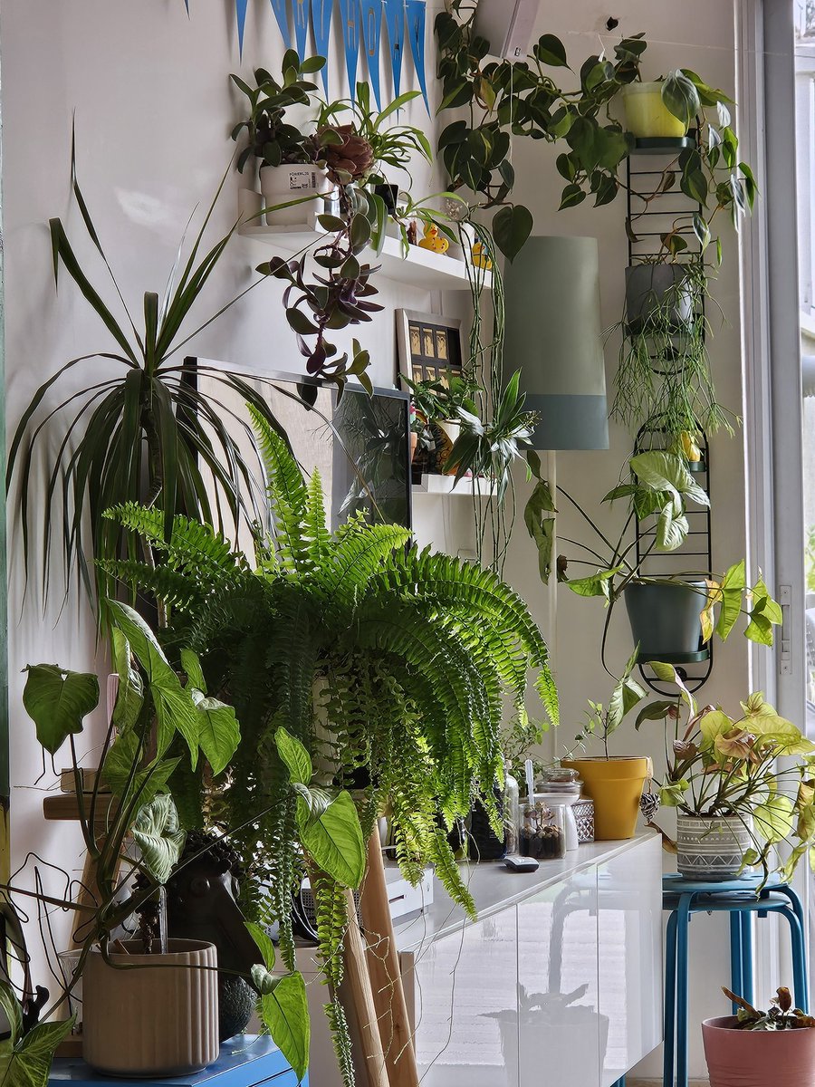 Or Leigh tweet media