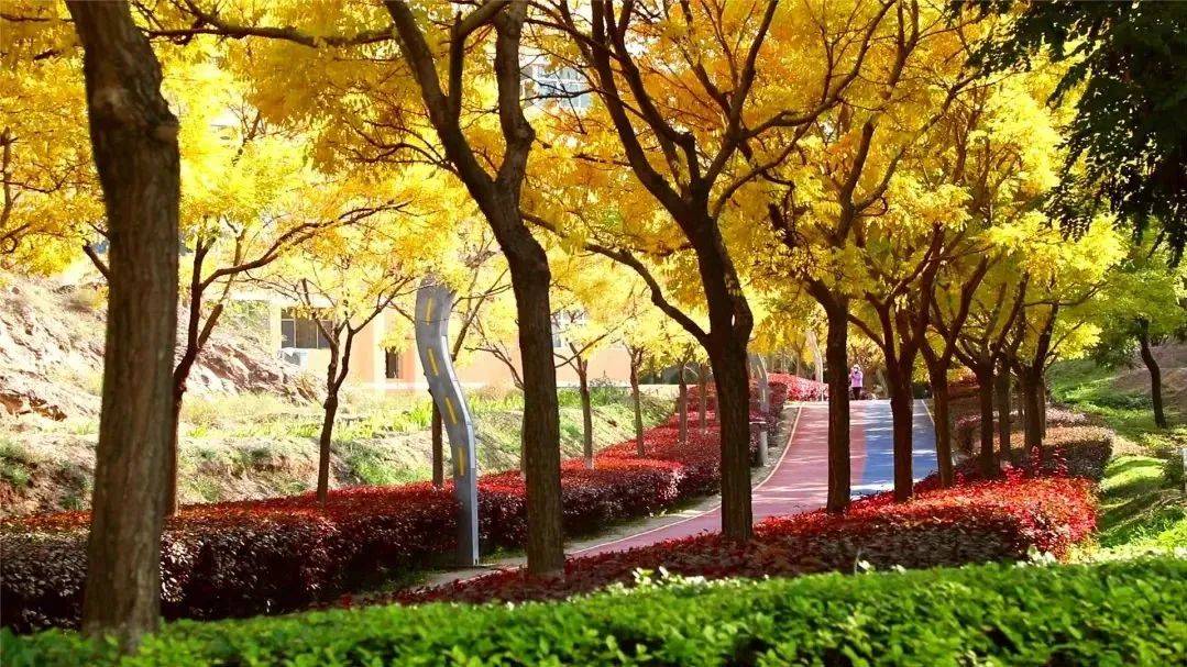EventurosP's tweet photo. Autumn breeze, golden leaves, and cozy sweaters—perfect for a walk where every step crunches with joy. https://t.co/C37Q8u8qrL