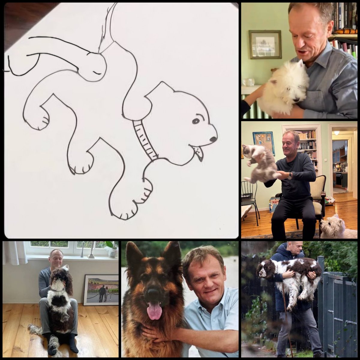 Pogotowie Psychiatryczne tweet media