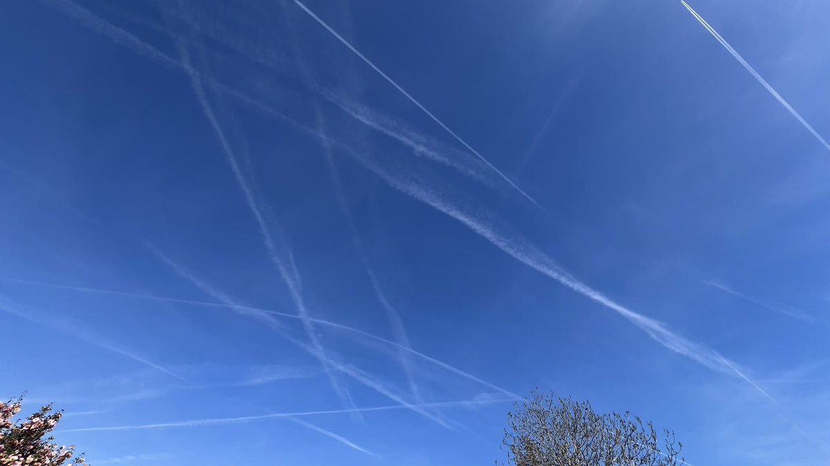 Andy Progressive Wokist tweet media