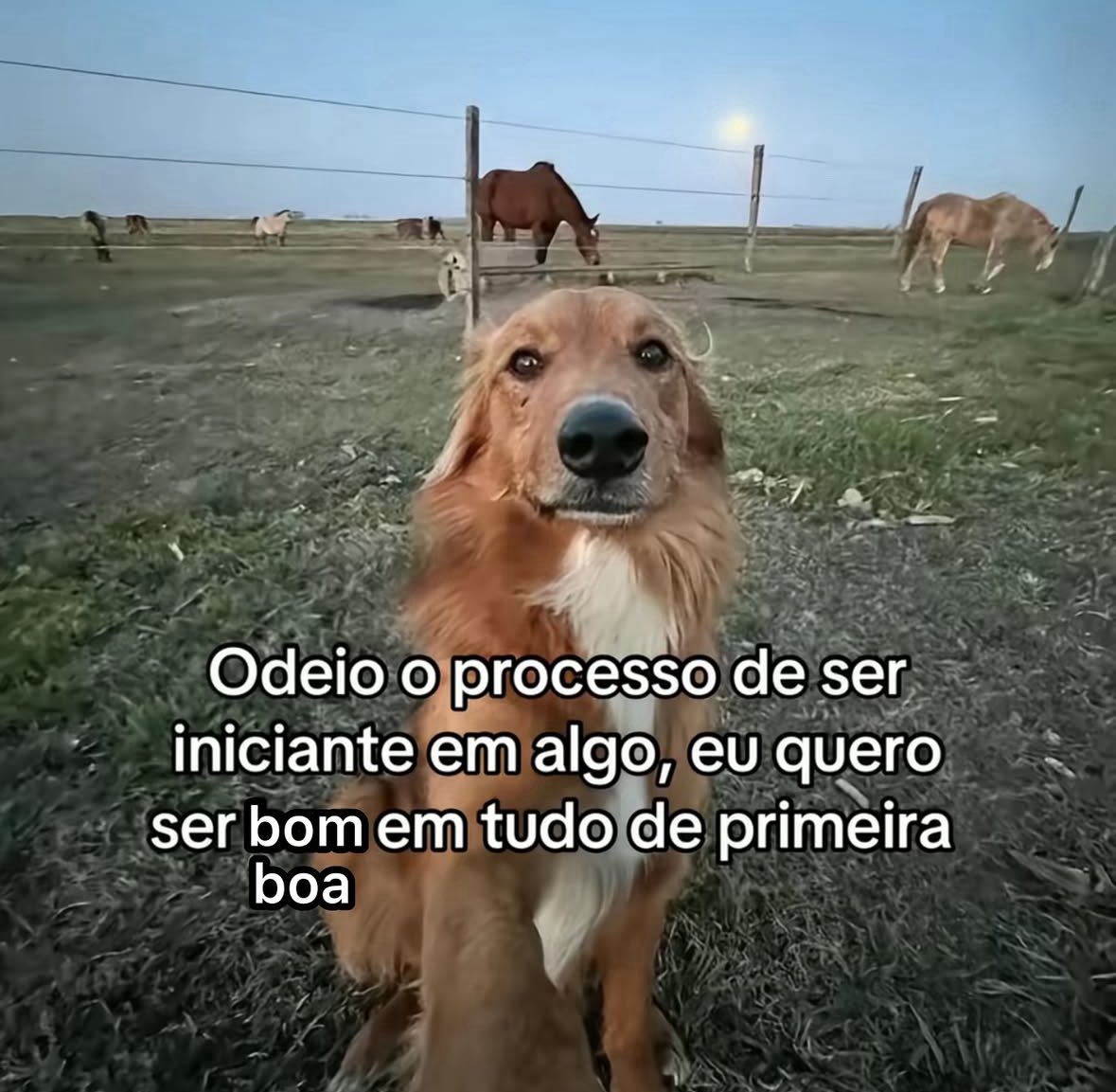 isso é tão bom sozinho que nem precisa de contexto (@nemcontext) on Twitter photo 