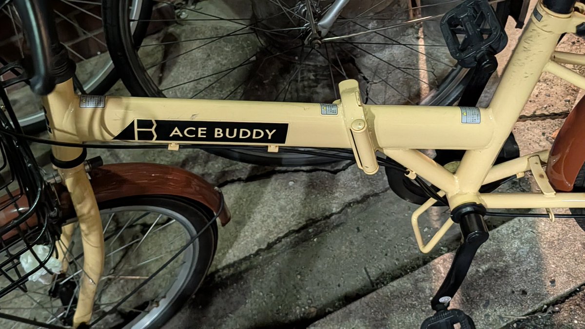 David P GCSE (multiple) tweet media