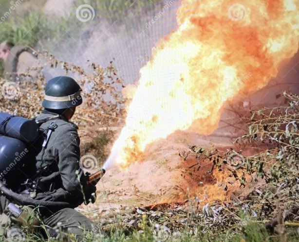 marco verdi tweet media