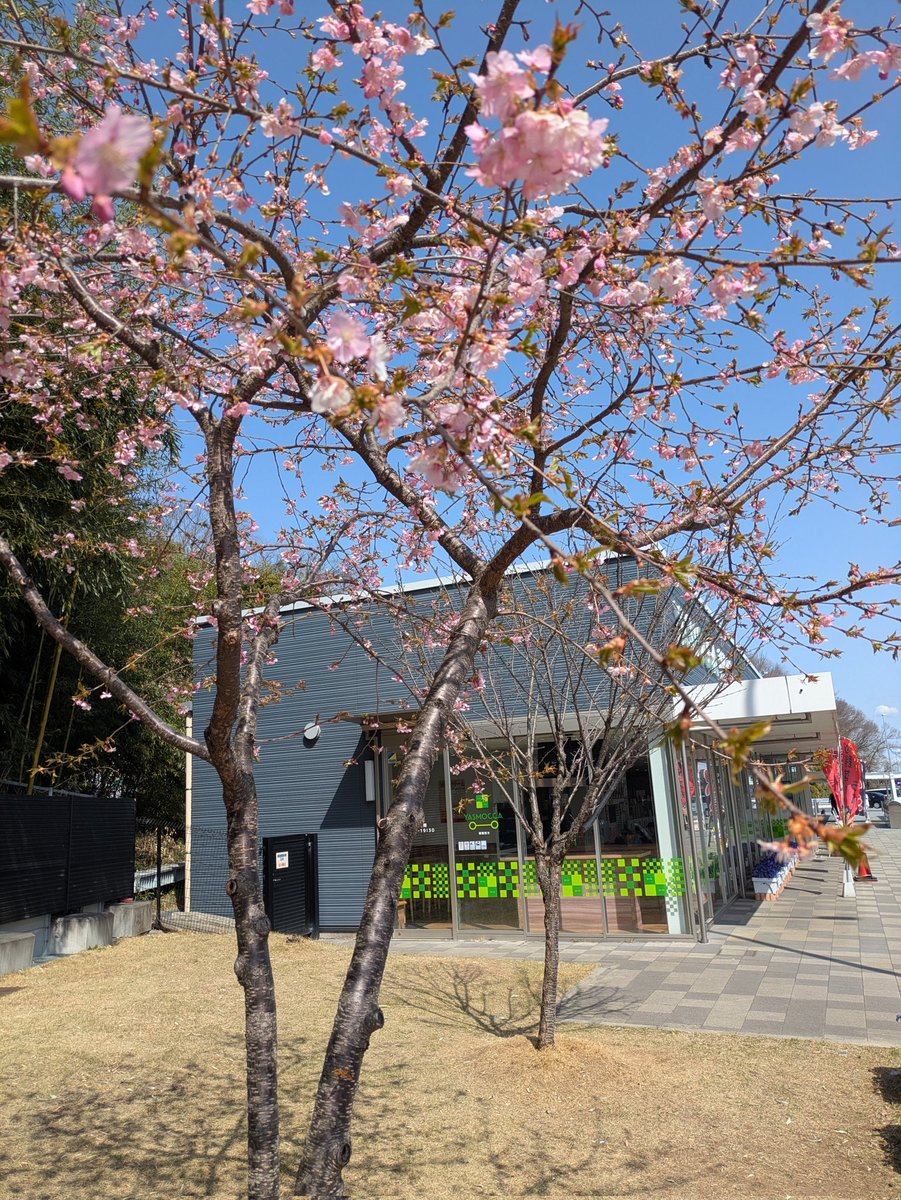 かぬまHM120/JK1IAO tweet media