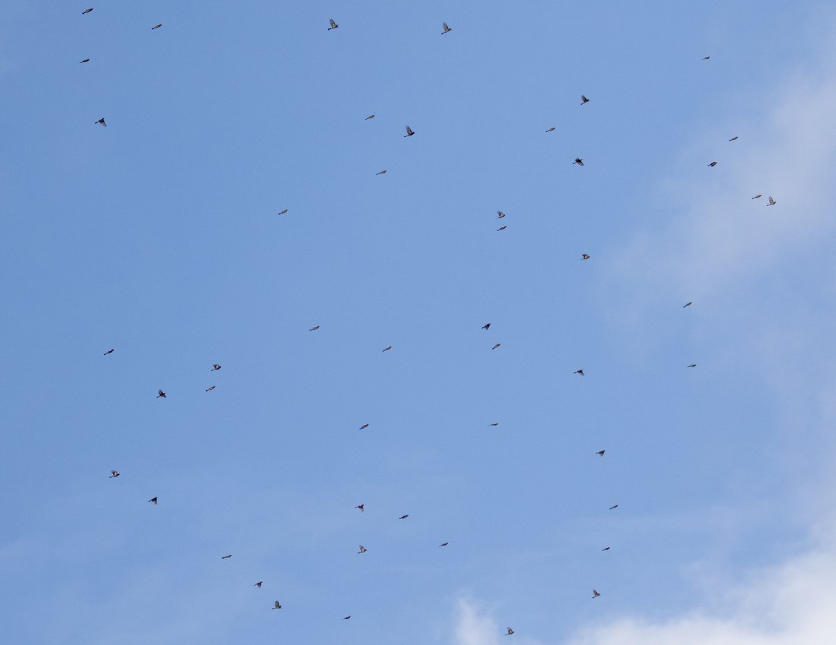 Jamie Partridge tweet media