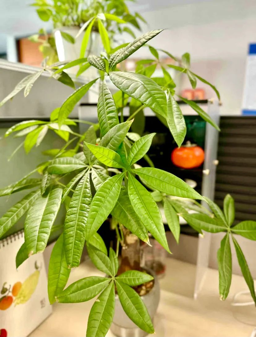 eileen kelham tweet media