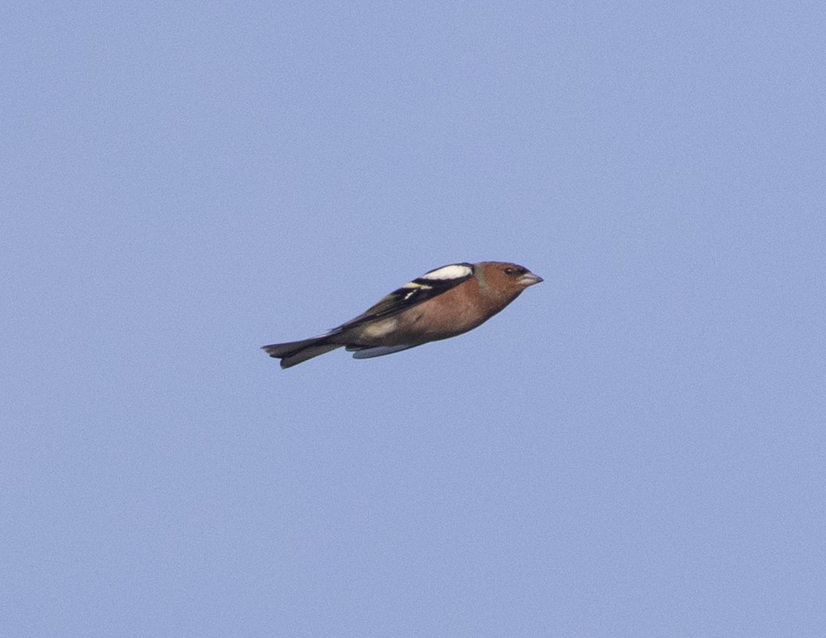 Jamie Partridge tweet media