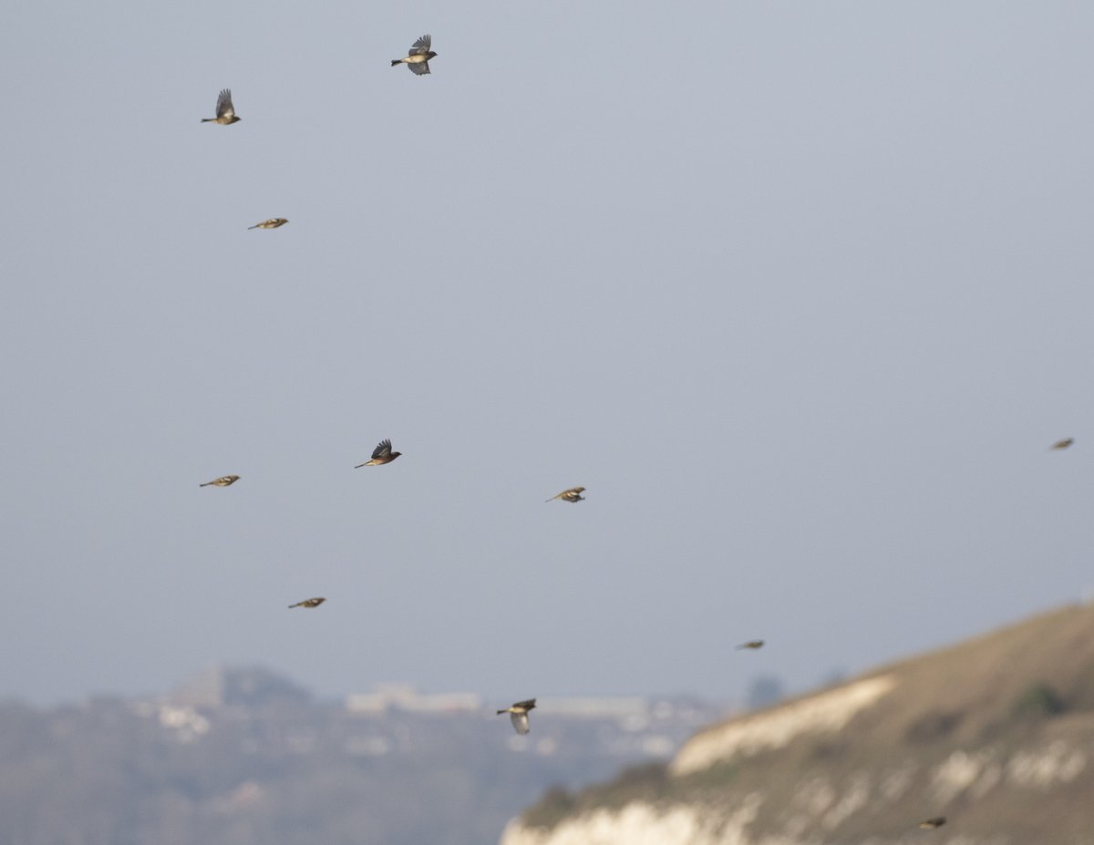 Jamie Partridge tweet media