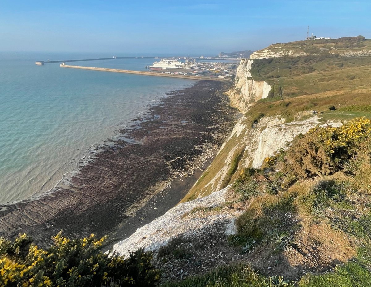 Jamie Partridge tweet media