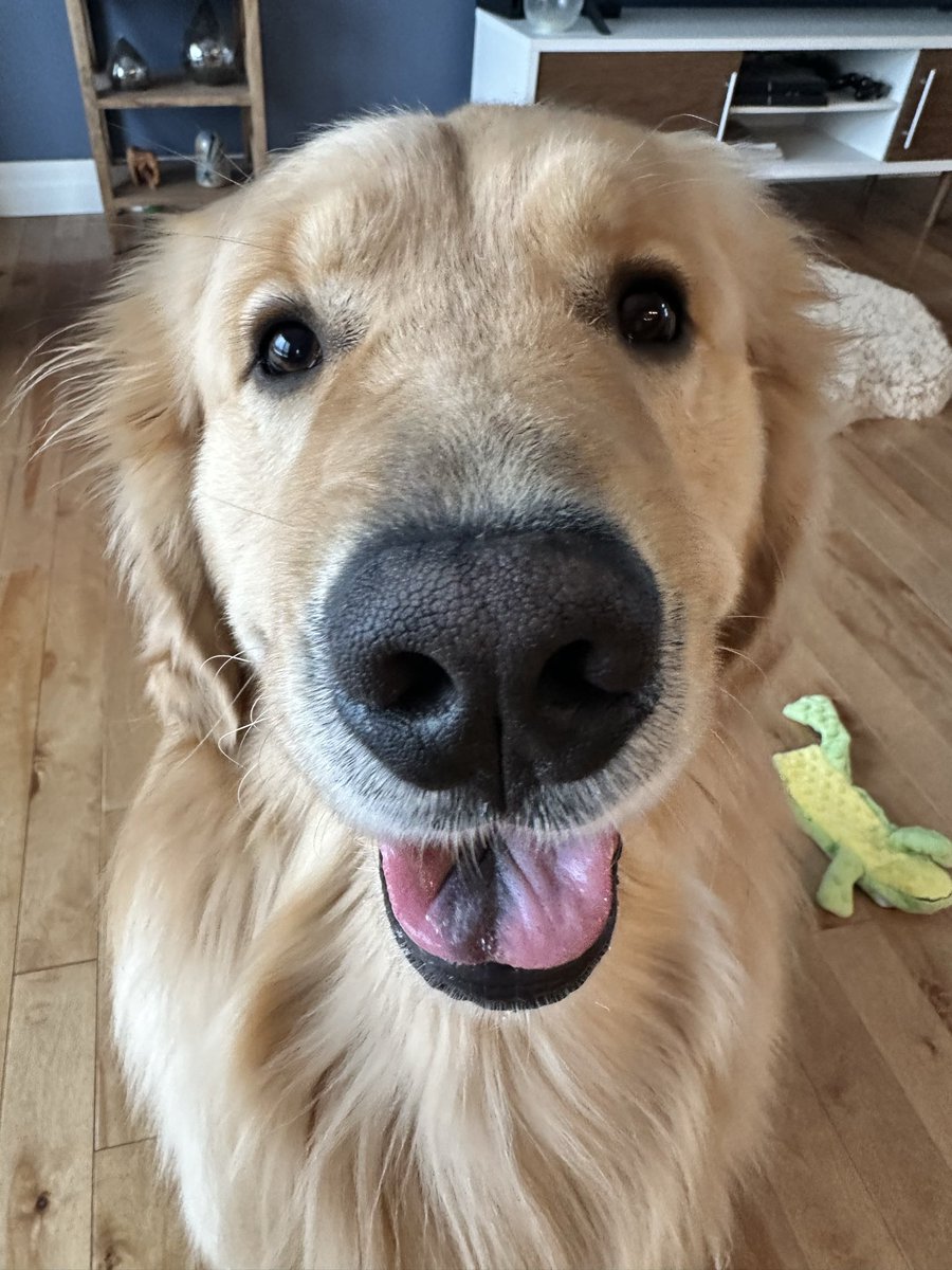 🇨🇦Lynn & Murphy of the North🇨🇦 tweet media