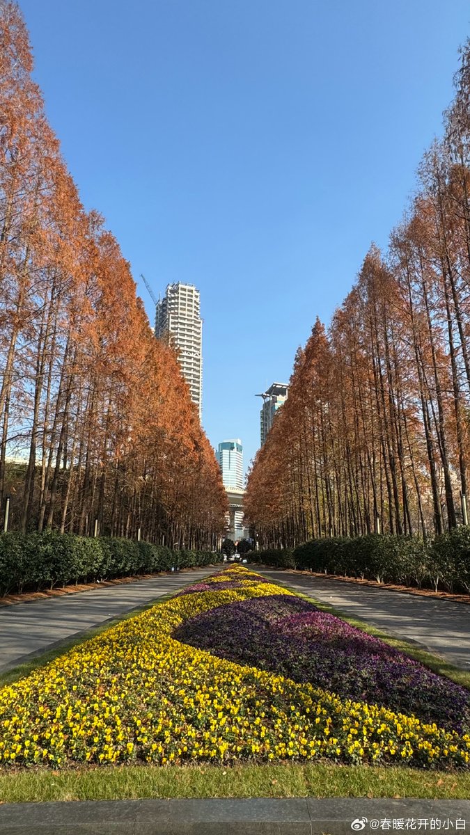 Erikkion Evans tweet media