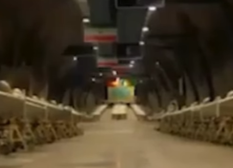 Fraser Perring - Grand Poobah of “criminal” shorts tweet media