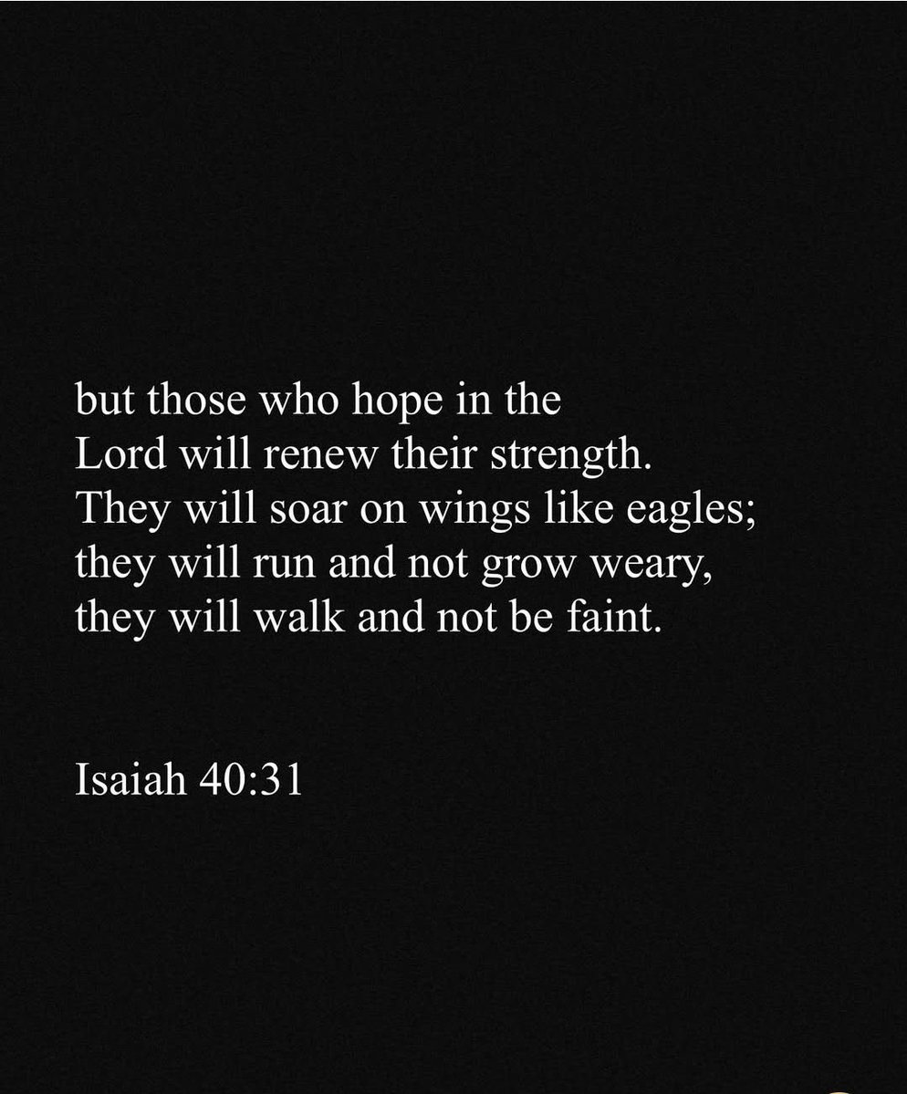 Holy Bible tweet media