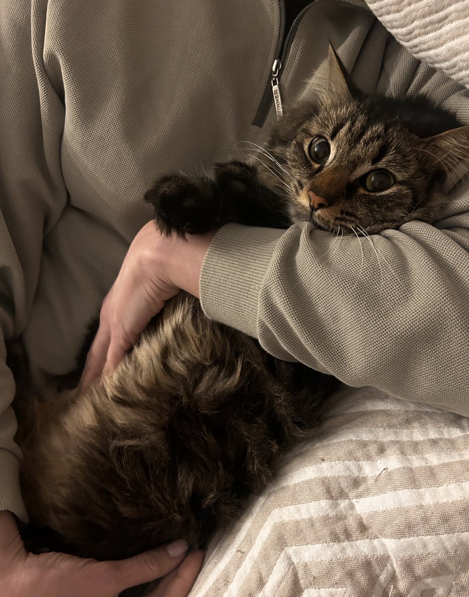 бабка у подъезда tweet media