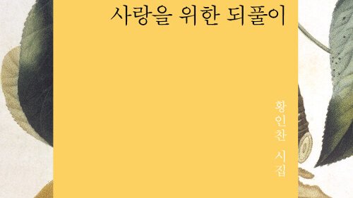 편집자｜주로 시 tweet media