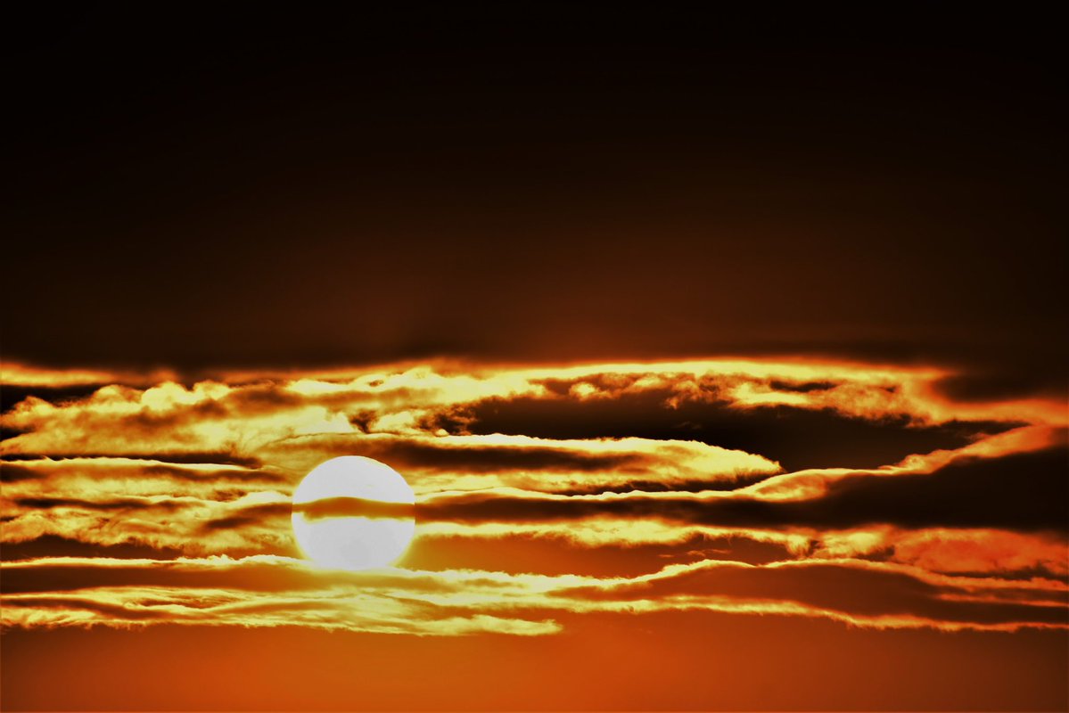 💚Force of Nature💚 tweet media