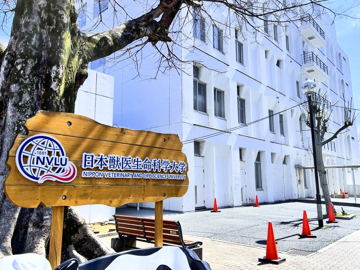 Shin@獣医病理学者 tweet media