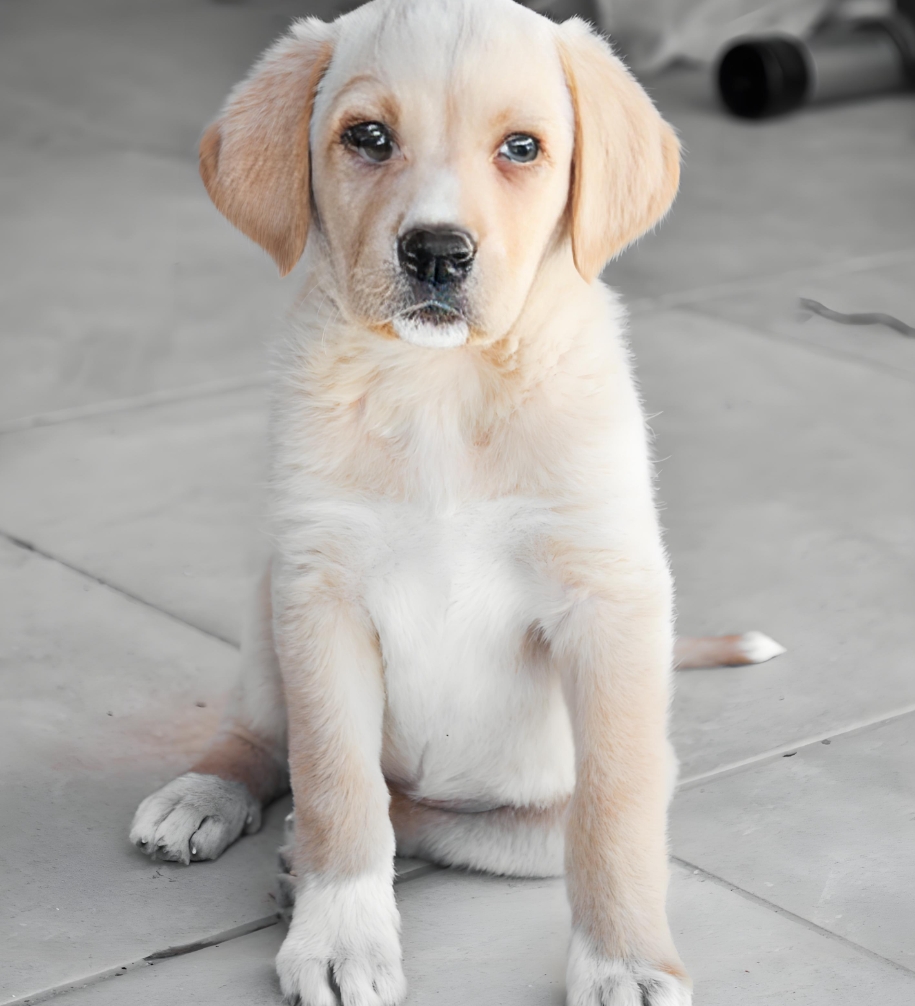 chann denayy' tweet media